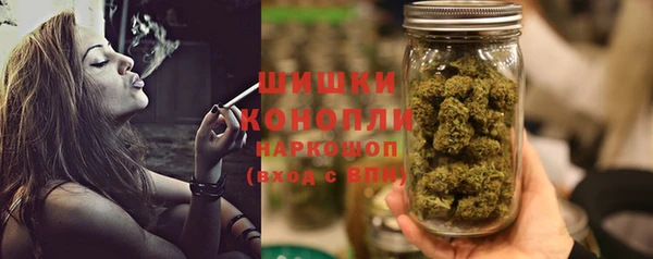 прущие грибы Пестово