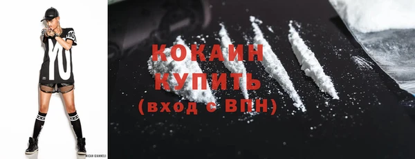 сатива Осинники