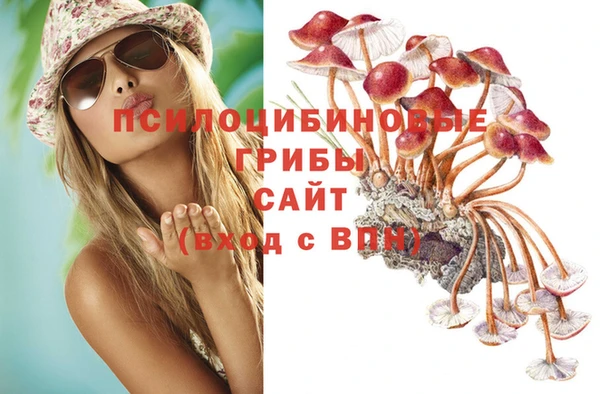 бошки Пересвет