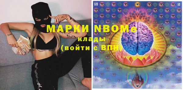 сатива Осинники
