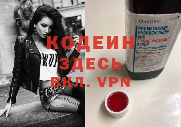 сатива Осинники