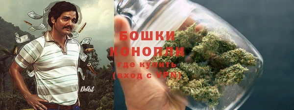 дмт Осташков