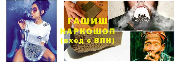 сатива Осинники