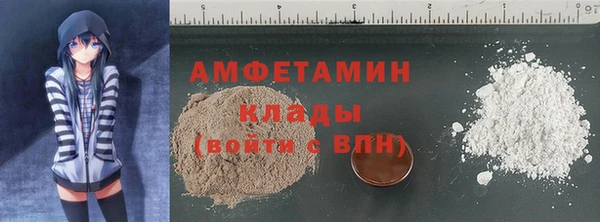 прущие грибы Пестово