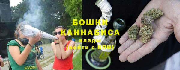 дмт Осташков